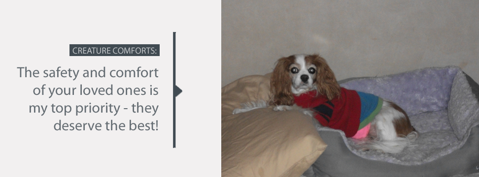 Cage-free and kennel-free dog boarding